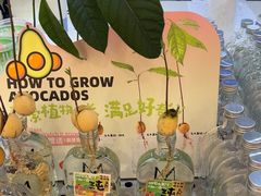 -Mr.Fruits水果先生(英蓝金融中心店)