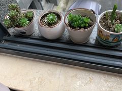 -联合口腔(西环诊所)