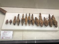 -合肥三国新城遗址公园