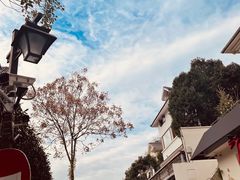 -马灯部落·西湖边的创意山景餐厅(虎跑动物园店)