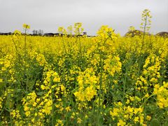 -中国天府农业博览园