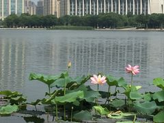 -尚贤河湿地