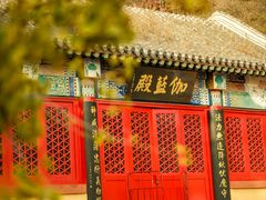 -遵化市禅林寺古银杏风景园