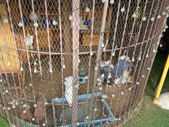 -西西里轰趴日租聚会别墅·团建拓展