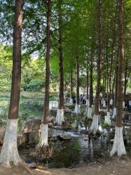 -玄武湖景区-情侣园游乐场