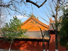 -昆明动物园