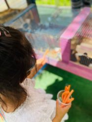 -萌宠亲子动物乐园(槐房万达店)