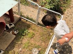 -上海佘山世茂艾美酒店