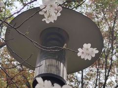-黄兴公园