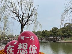 -上海鲜花港
