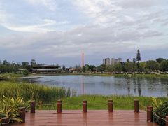 -桂溪生态公园