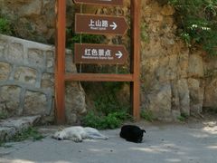 -大岭沟猕猴桃谷风景区