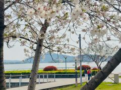 -蠡湖大桥公园