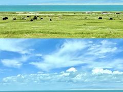 -青海湖国家重点风景名胜区