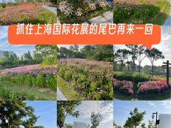 -春花秋色城市公园