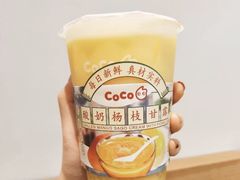 酸奶杨枝甘露-CoCo都可(东城国贸店)