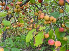 -淇河国家湿地公园