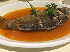 功夫鱼-西北45°(世茂广场店)