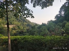 -火炉山森林公园