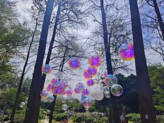 -人民公园(罗湖区)