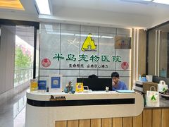 -半岛宠物医院24小时(西派城店)