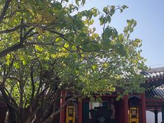 -宫事颐庭·老佛爷贵寿下午茶(颐和园店)