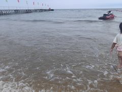 -日照海滨国家森林公园