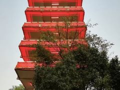 -WFC会仙楼观景台
