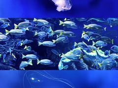 -南昌融创海世界