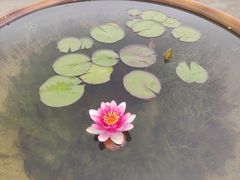-宜兴张公洞