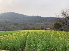 -八卦田遗址公园