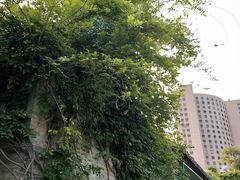 -回龙窝历史文化街区