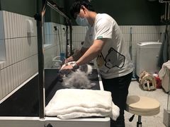 -電力宠物公司(武定路店)