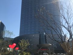 -德州凤冠假日酒店