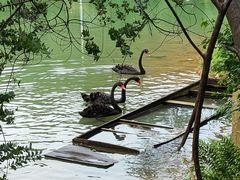 -广州白江湖森林公园