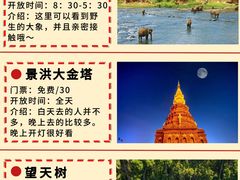 -西双版纳傣族园