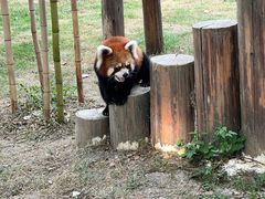 -苏州太湖西山岛开心农场