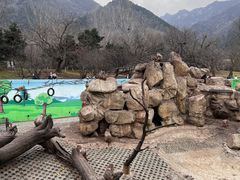 -西安秦岭野生动物园