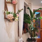 上海探店｜魔都复古老洋房里的花园餐厅💐