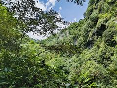 -黄山翡翠谷景区