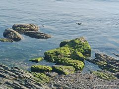 -大连金石滩滨海国家地质公园