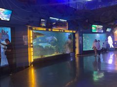 -烟台海昌鲸鲨海洋公园