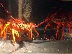 -璞御·海鲜·雪花牛肉局(宾水西道店)
