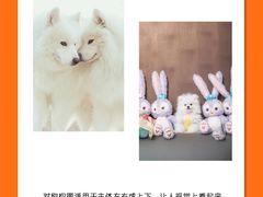 -CGWANG王氏教育(上海校区)