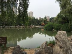 -西苑公园