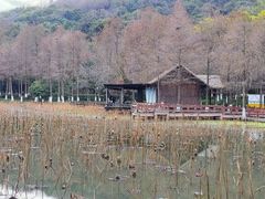 -八卦田遗址公园