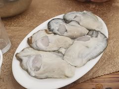 -濠轩阁特色生蚝火锅总店