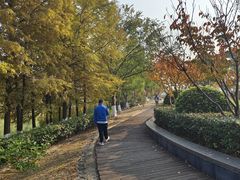 -江滩湿地公园