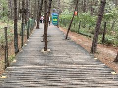 -帽儿山国家森林公园