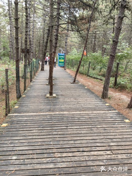 帽儿山国家森林公园图片